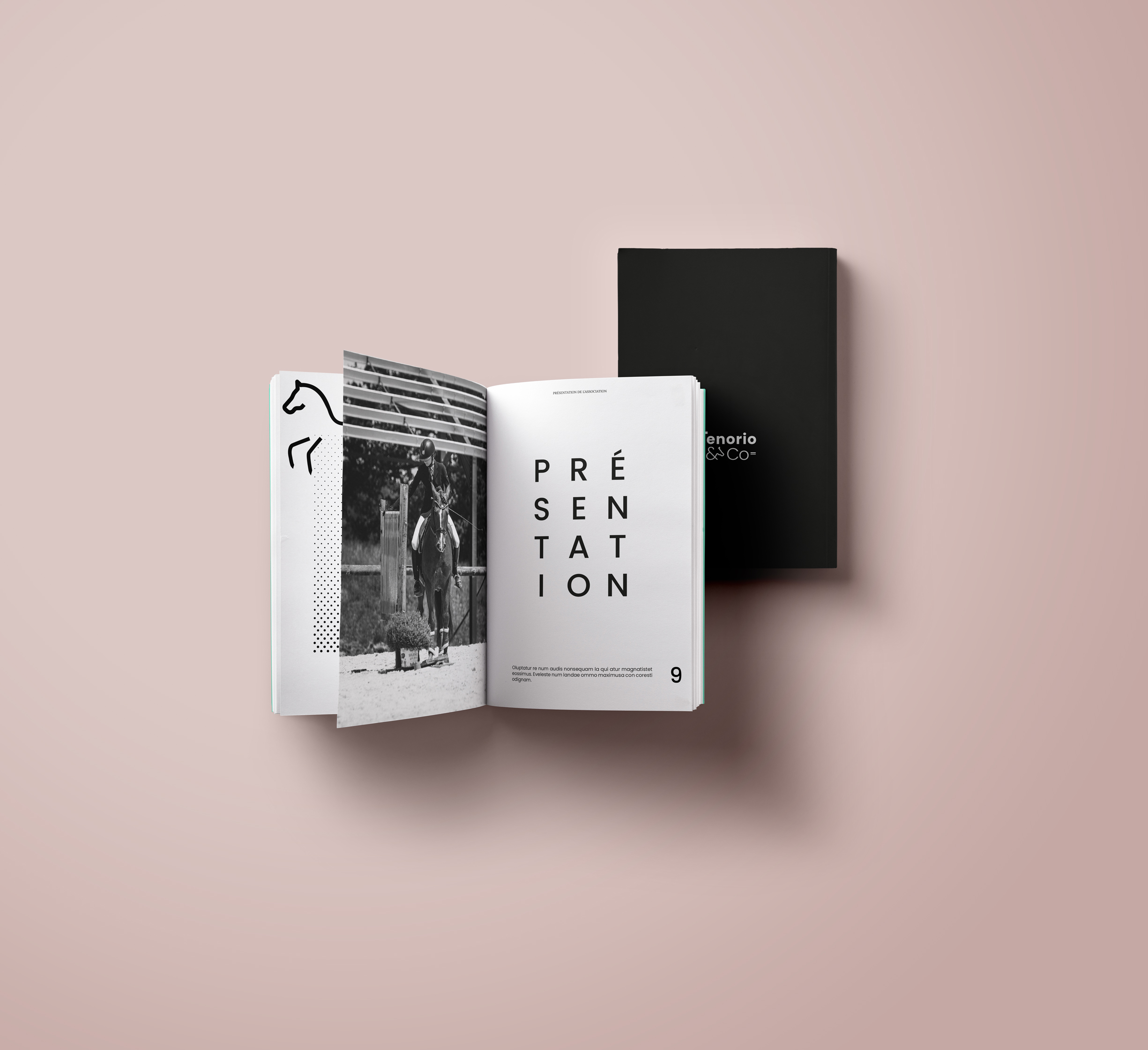 Mockup Tenorio